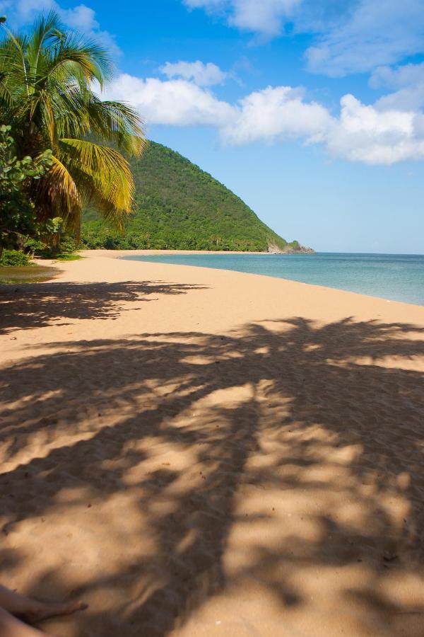 Lodge Coco Deshaies Luaran gambar